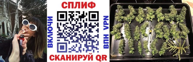 Наркошоп Циолковский Канабис  Cocaine  АМФЕТАМИН  ГАШИШ 