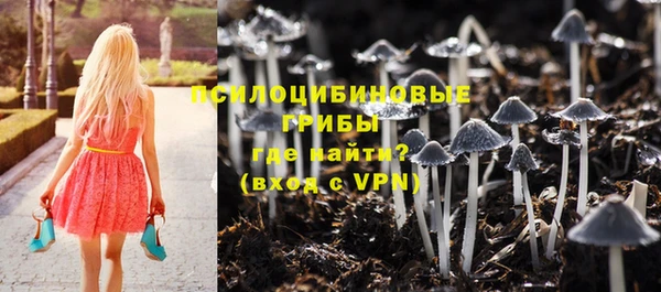 MDMA Premium VHQ Аркадак