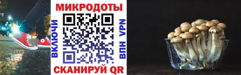Псилоцибиновые грибы Cubensis  KRAKEN ONION  это формула  Циолковский 